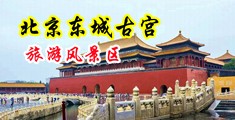 大鸡巴头插入肥屄中国北京-东城古宫旅游风景区